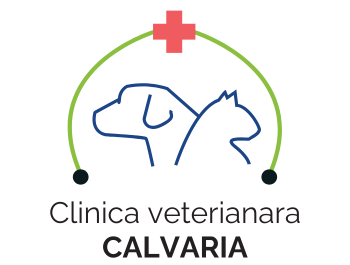 Calvaria Pet